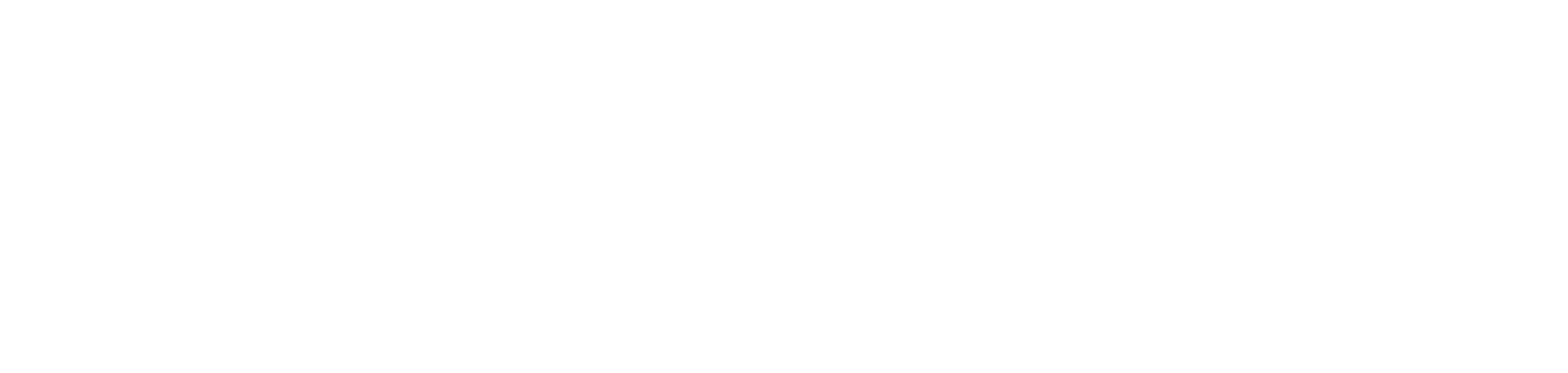 Fitovision Logo